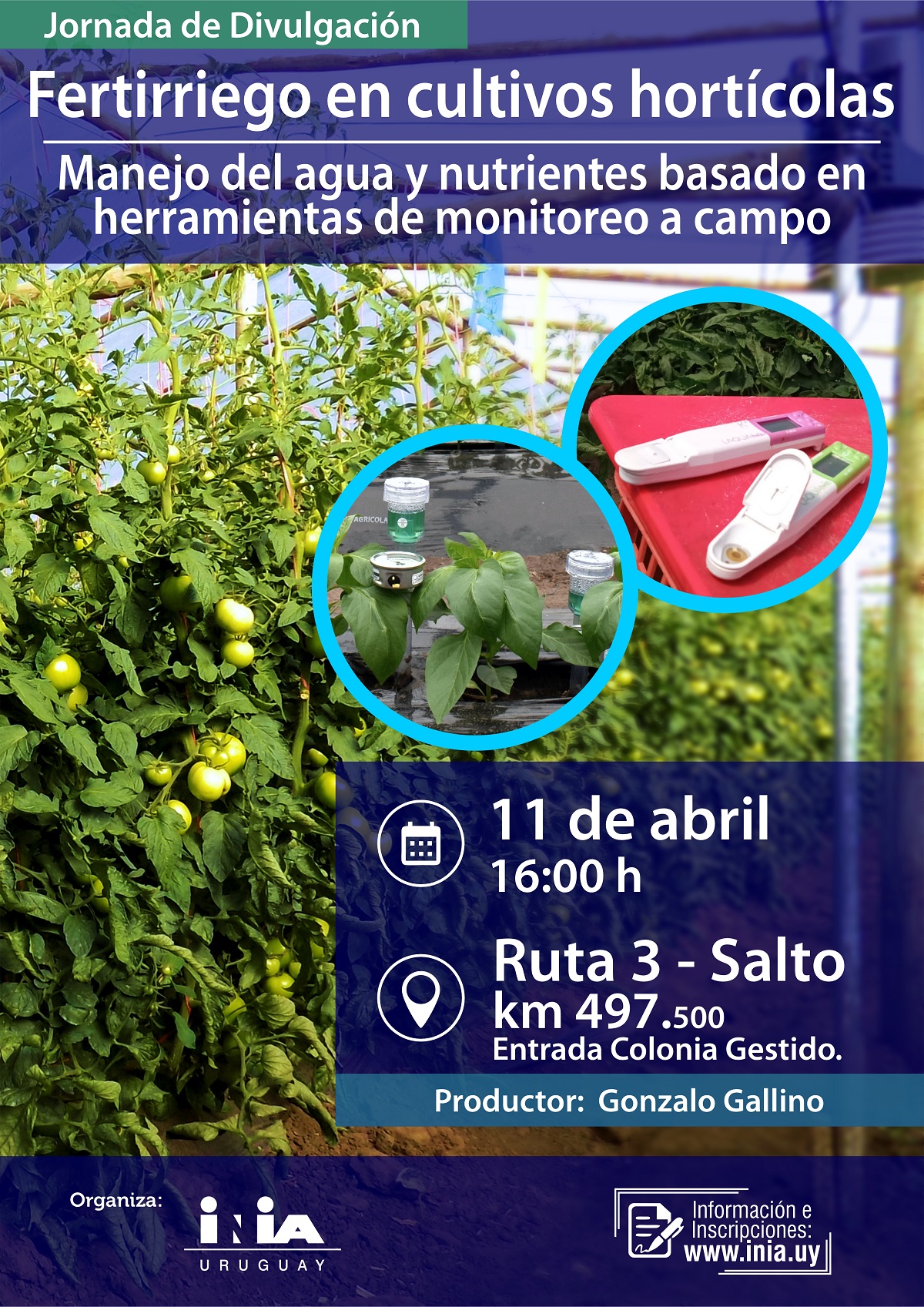 Portal Inia Fertirriego En Cultivos Hortícolas 5015
